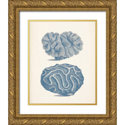 Antique Coral Collection IX Gold Ornate Wood Framed Art Print with Double Matting by Vision Studio