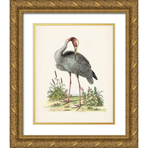 Antique Heron and Cranes I Gold Ornate Wood Framed Art Print with Double Matting by Edwards, George