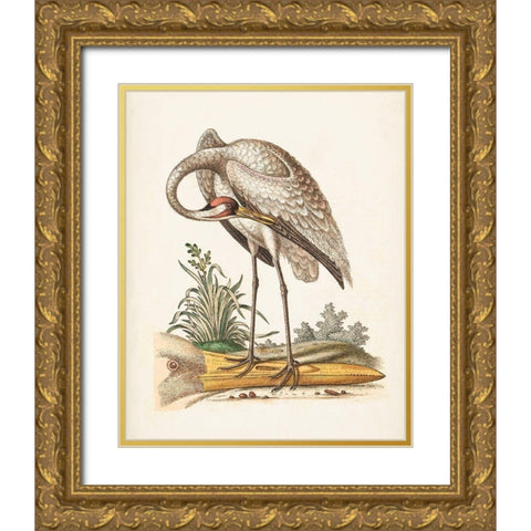 Antique Heron and Cranes IV Gold Ornate Wood Framed Art Print with Double Matting by Edwards, George