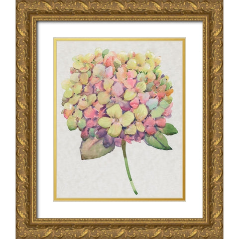 Multicolor Floral II Gold Ornate Wood Framed Art Print with Double Matting by OToole, Tim