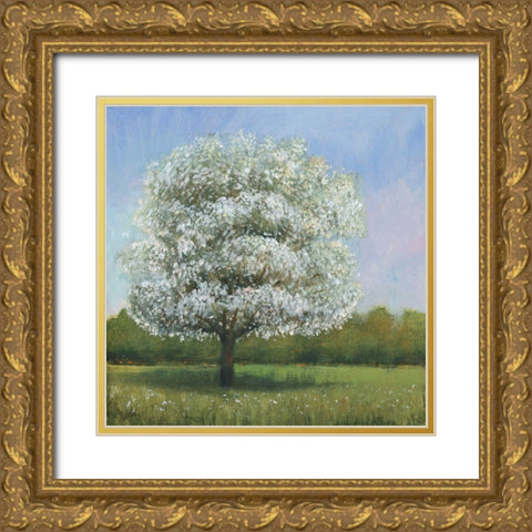 Spring Blossom Tree I Gold Ornate Wood Framed Art Print with Double Matting by OToole, Tim