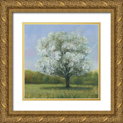 Spring Blossom Tree II Gold Ornate Wood Framed Art Print with Double Matting by OToole, Tim