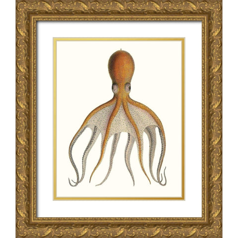 Antique Octopus Collection VI Gold Ornate Wood Framed Art Print with Double Matting by Unknown