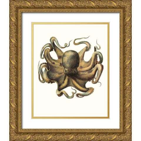 Antique Octopus Collection VII Gold Ornate Wood Framed Art Print with Double Matting by Unknown
