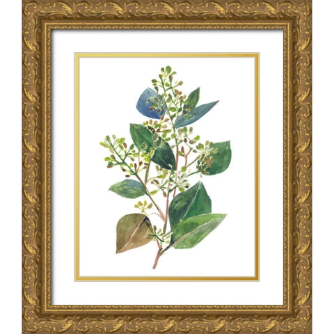 Seeded Eucalyptus II Gold Ornate Wood Framed Art Print with Double Matting by Wang, Melissa