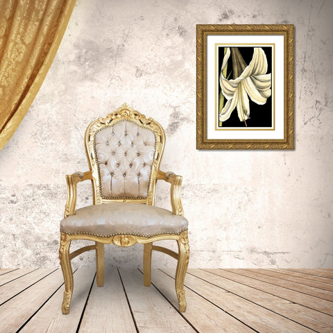 Graphic Lily IV Gold Ornate Wood Framed Art Print with Double Matting by Goldberger, Jennifer