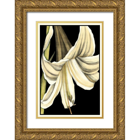 Graphic Lily IV Gold Ornate Wood Framed Art Print with Double Matting by Goldberger, Jennifer