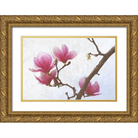 Painted Magnolias I Gold Ornate Wood Framed Art Print with Double Matting by Vest, Chris