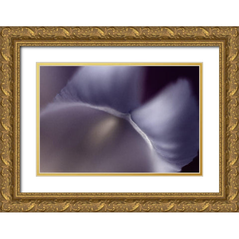 Haunting II Gold Ornate Wood Framed Art Print with Double Matting by Stalus, Judy