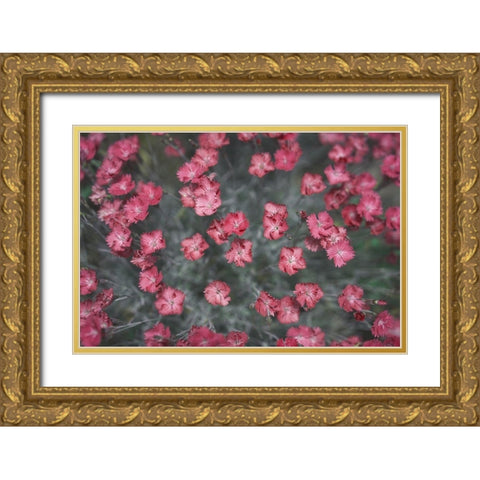 Natures Textures I Gold Ornate Wood Framed Art Print with Double Matting by Stramel, Renee W.