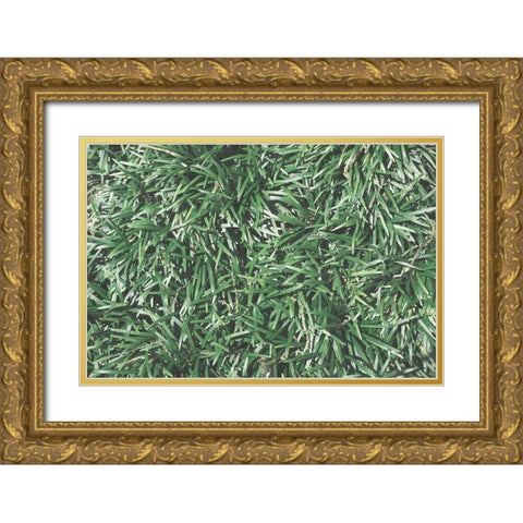 Natures Textures II Gold Ornate Wood Framed Art Print with Double Matting by Stramel, Renee W.