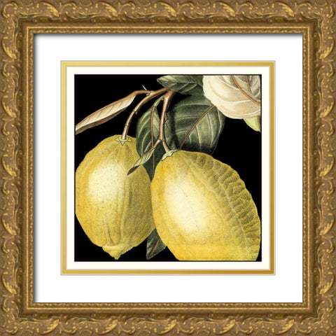 Dramatic Lemon Gold Ornate Wood Framed Art Print with Double Matting by Vision Studio