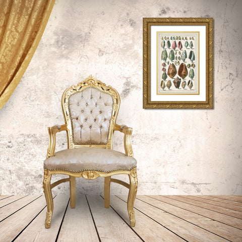 Grand Seba Shells I Gold Ornate Wood Framed Art Print with Double Matting by Seba, Albertus