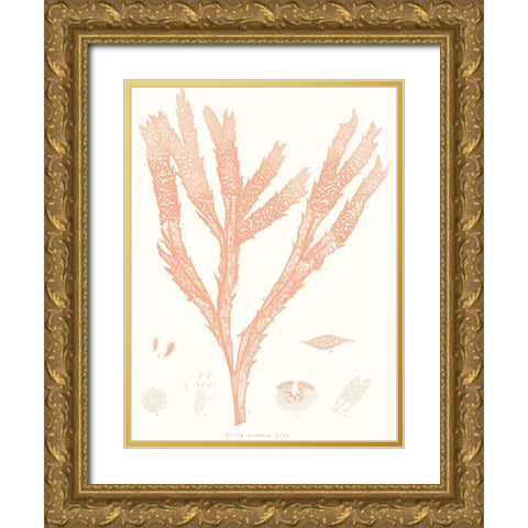 Vivid Coral Seaweed II Gold Ornate Wood Framed Art Print with Double Matting by Vision Studio