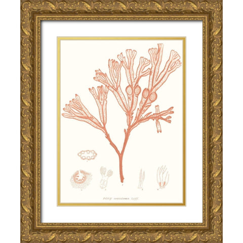 Vivid Coral Seaweed III Gold Ornate Wood Framed Art Print with Double Matting by Vision Studio