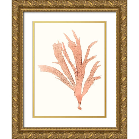 Vivid Coral Seaweed IV Gold Ornate Wood Framed Art Print with Double Matting by Vision Studio
