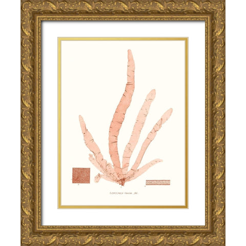 Vivid Coral Seaweed VI Gold Ornate Wood Framed Art Print with Double Matting by Vision Studio