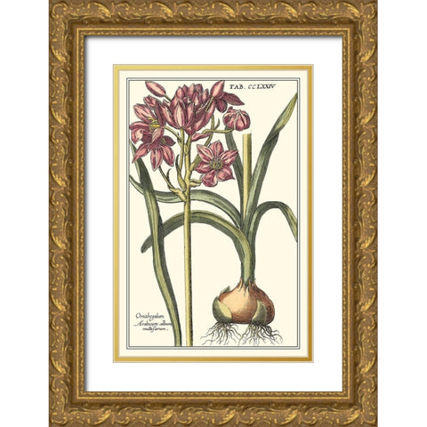 Botanical Beauty I Gold Ornate Wood Framed Art Print with Double Matting by Vision Studio