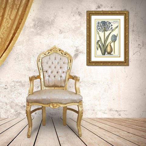 Botanical Beauty II Gold Ornate Wood Framed Art Print with Double Matting by Vision Studio