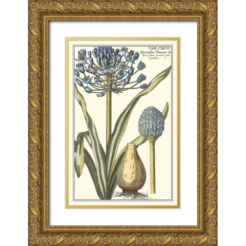 Botanical Beauty II Gold Ornate Wood Framed Art Print with Double Matting by Vision Studio