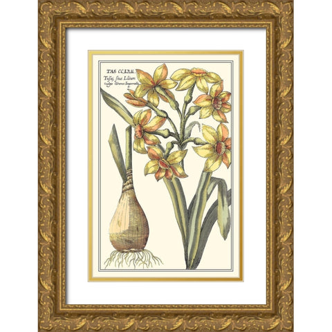 Botanical Beauty IV Gold Ornate Wood Framed Art Print with Double Matting by Vision Studio