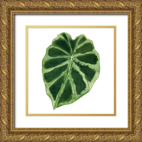 Rainforest Jewel III Gold Ornate Wood Framed Art Print with Double Matting by Popp, Grace