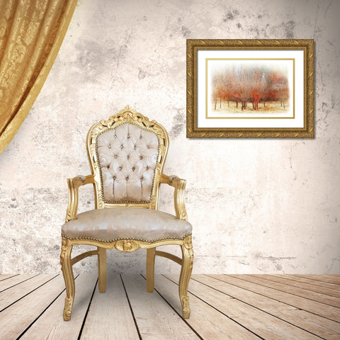 Row of Red Trees Gold Ornate Wood Framed Art Print with Double Matting by Vest, Chris