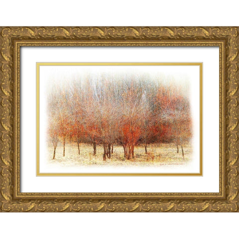 Row of Red Trees Gold Ornate Wood Framed Art Print with Double Matting by Vest, Chris