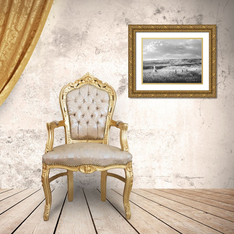 Fence Line Flight I Gold Ornate Wood Framed Art Print with Double Matting by Vest, Chris