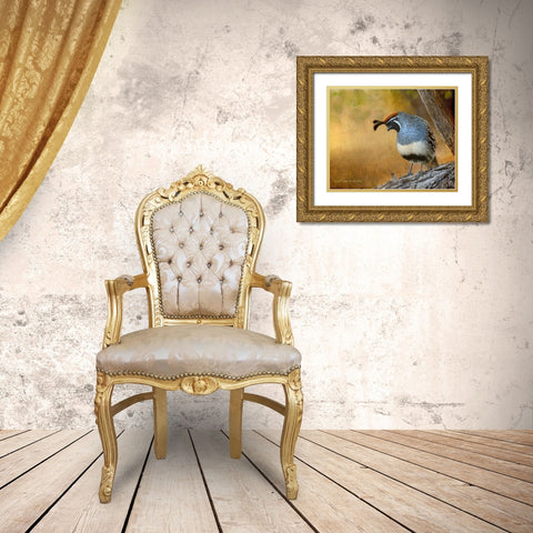 Male Quail Gold Ornate Wood Framed Art Print with Double Matting by Vest, Chris