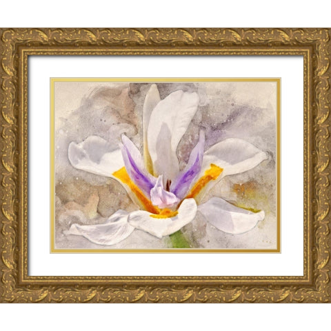 Playful Petals I Gold Ornate Wood Framed Art Print with Double Matting by Robertson, Leda