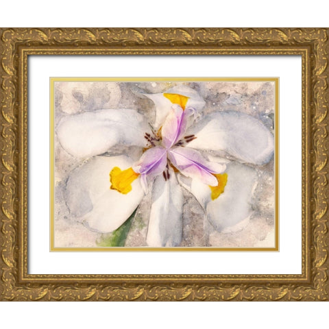Playful Petals II Gold Ornate Wood Framed Art Print with Double Matting by Robertson, Leda