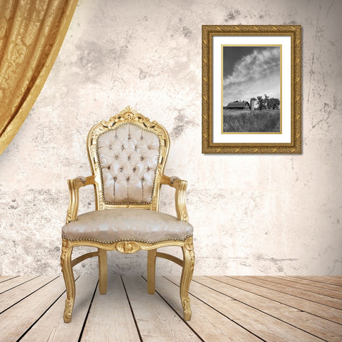 Farm Serenity I Gold Ornate Wood Framed Art Print with Double Matting by Robertson, Leda