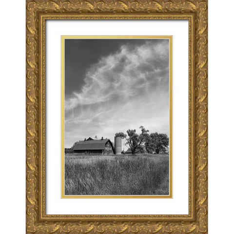 Farm Serenity I Gold Ornate Wood Framed Art Print with Double Matting by Robertson, Leda