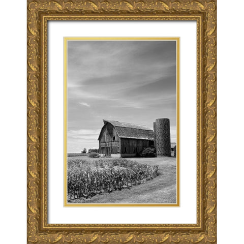 Farm Serenity II Gold Ornate Wood Framed Art Print with Double Matting by Robertson, Leda