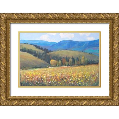 Mountain Pass I Gold Ornate Wood Framed Art Print with Double Matting by OToole, Tim