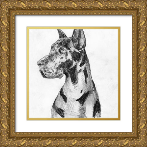 Great Dane Portrait I Gold Ornate Wood Framed Art Print with Double Matting by Wang, Melissa