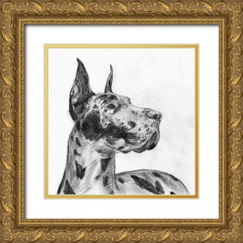 Great Dane Portrait II Gold Ornate Wood Framed Art Print with Double Matting by Wang, Melissa