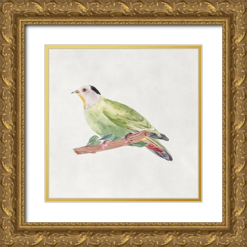 Bird Sketch III Gold Ornate Wood Framed Art Print with Double Matting by Wang, Melissa