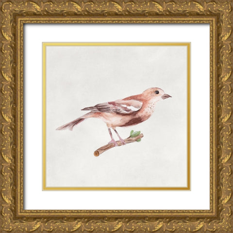 Bird Sketch IV Gold Ornate Wood Framed Art Print with Double Matting by Wang, Melissa
