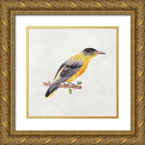 Bird Sketch VI Gold Ornate Wood Framed Art Print with Double Matting by Wang, Melissa