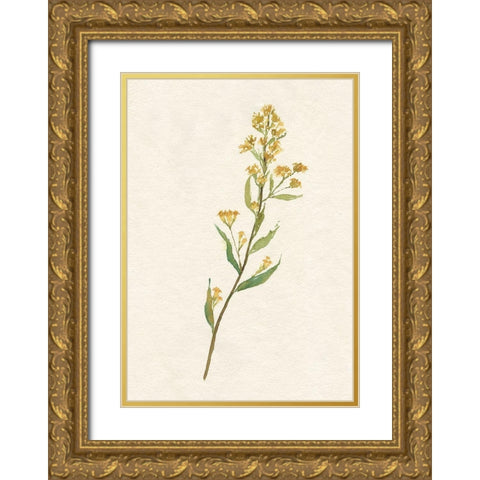 Delicate Yellow I Gold Ornate Wood Framed Art Print with Double Matting by Goldberger, Jennifer