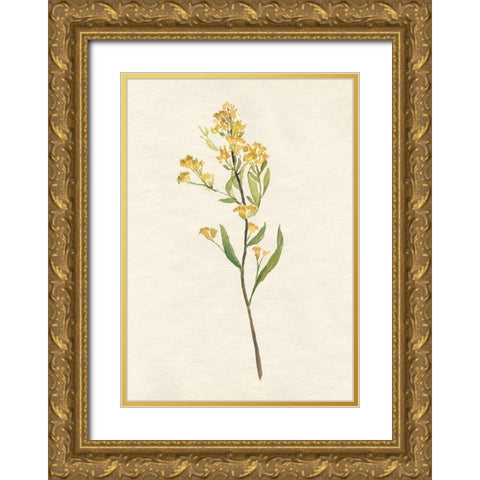 Delicate Yellow II Gold Ornate Wood Framed Art Print with Double Matting by Goldberger, Jennifer