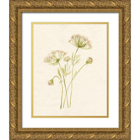 Blush Lace I Gold Ornate Wood Framed Art Print with Double Matting by Goldberger, Jennifer