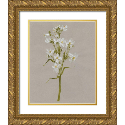 White Field Flowers I Gold Ornate Wood Framed Art Print with Double Matting by Goldberger, Jennifer