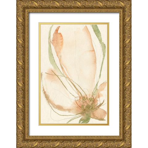 Petal Sketches I Gold Ornate Wood Framed Art Print with Double Matting by Goldberger, Jennifer