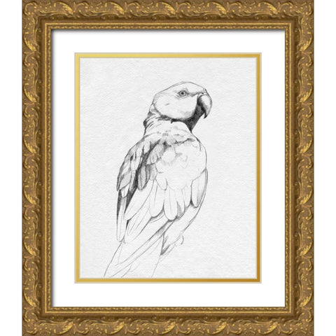 Parrot Portrait II Gold Ornate Wood Framed Art Print with Double Matting by Caroline, Emma