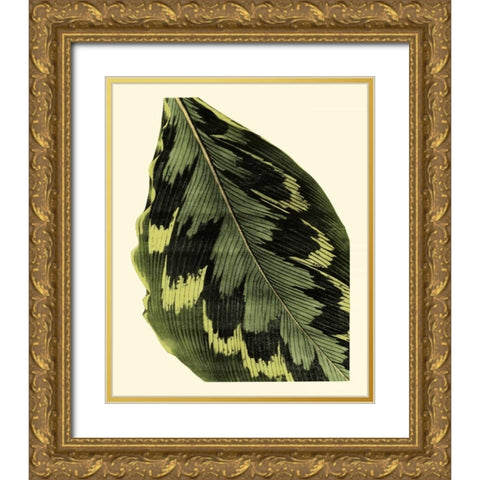 Grandiose Leaves I Gold Ornate Wood Framed Art Print with Double Matting by Vision Studio