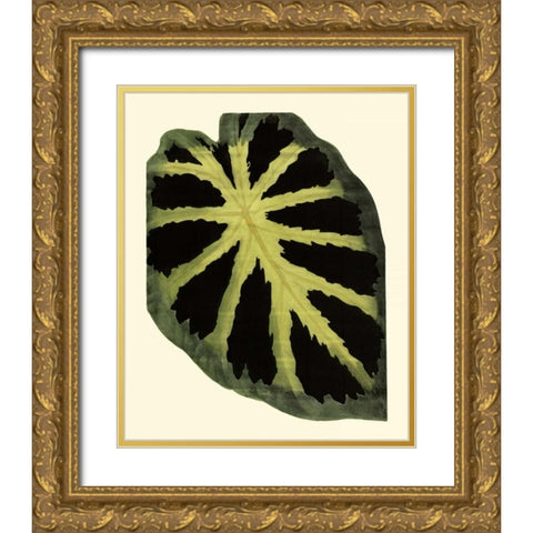 Grandiose Leaves III Gold Ornate Wood Framed Art Print with Double Matting by Vision Studio