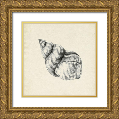 Seashell Pencil Sketch III Gold Ornate Wood Framed Art Print with Double Matting by Caroline, Emma